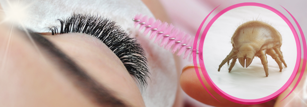 Why You Need To Clean Your Lashes & Lash Extensions
